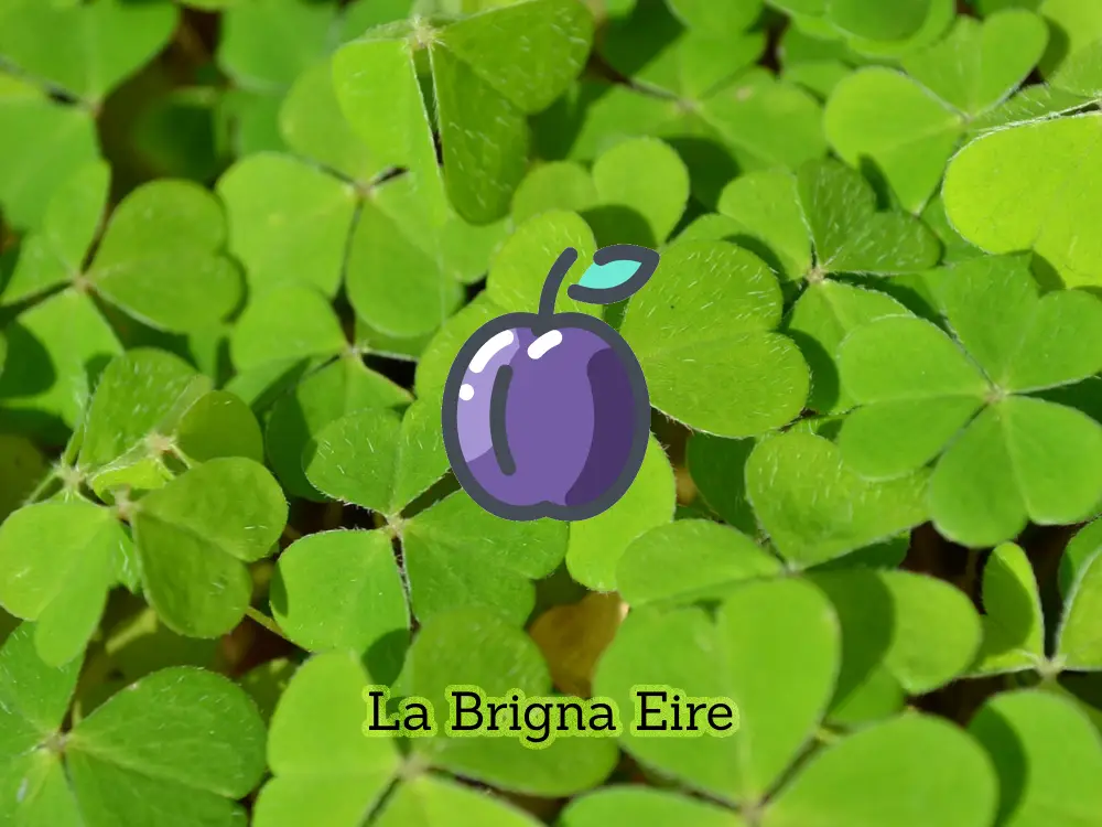 La Brigna Eire