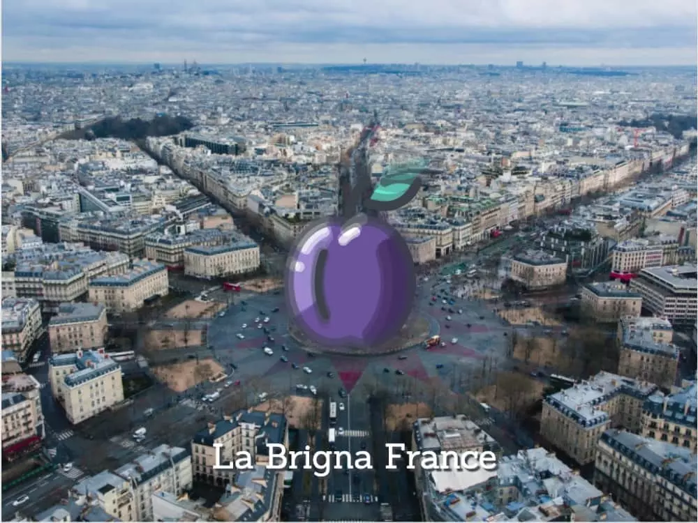 La Brigna France